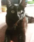 Mel