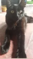 Mel