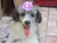 Bella