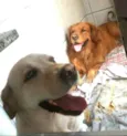 Lilica e Caco