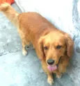 Lilica e Caco