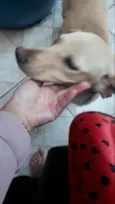 Princesa