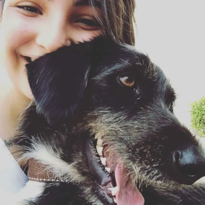 Cachorro ra a Mestiço  idade 5 anos nome Feroz