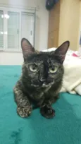 Suzan