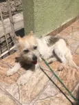 Marcos
