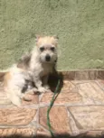 Marcos