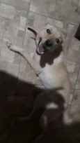 Lala
