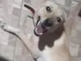 Lala