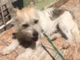Marcos