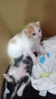 Daniela e Camila