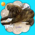 Luke