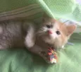 HAPPY