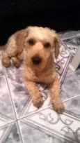 Bob