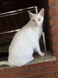 Gaspar & Romeu