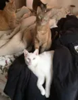 Gaspar & Romeu