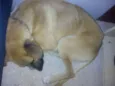 Billy