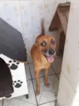 Luana