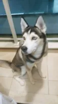 Frida