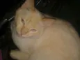 Mimi