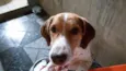 Maylon