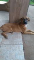 Docinho