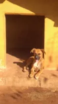 Docinho