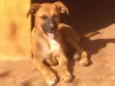 Docinho