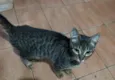 Maria Eugenia e Joey