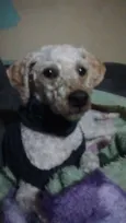 Sem nome