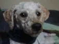Sem nome