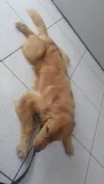 Joaquim