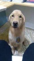 Joaquim