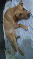 Marley 