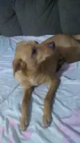Marley 