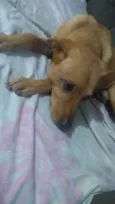 Marley 
