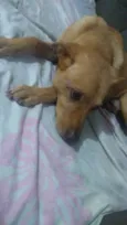 Marley