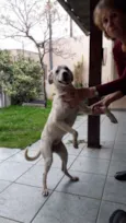 Zuzu