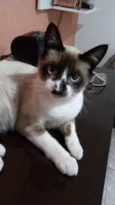 Menino