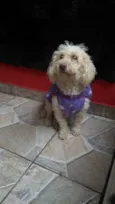 Maju