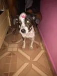 Neguinha