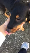 Sem nome ainda
