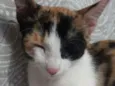 Mel 