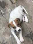 Bruce