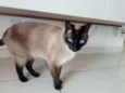 Mel