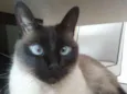 Mel