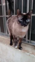 Mimi