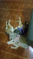 Jane