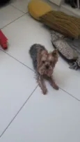 Nao sei