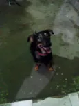 Tomas