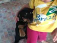 Berenice